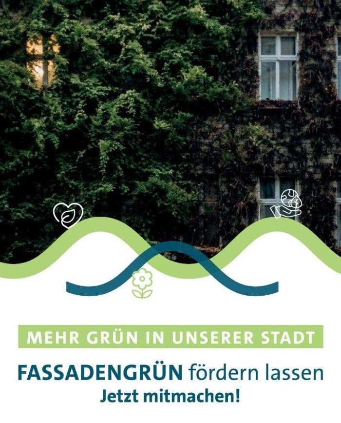 Fassadengrün Mehr grün in unserer Stadt