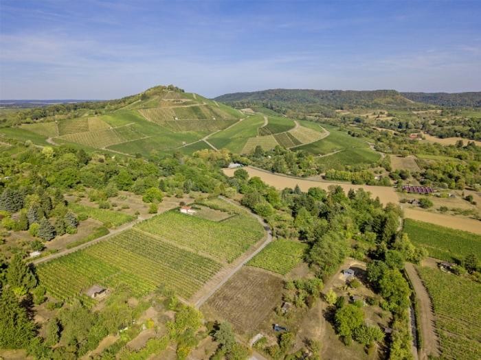 Foto: Daniel Nasse Blick auf den Scheuerberg
