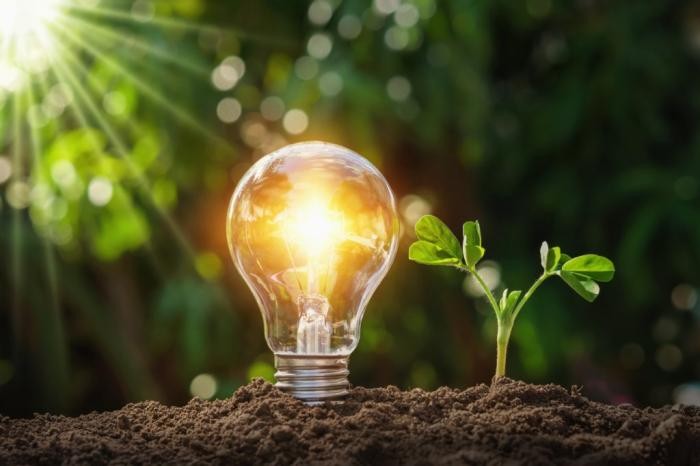 Foto: Adobe Stock Eine leuchtende Glühbirne steckt in der Erde. Daneben wächst eine Pflanze aus der Erde.