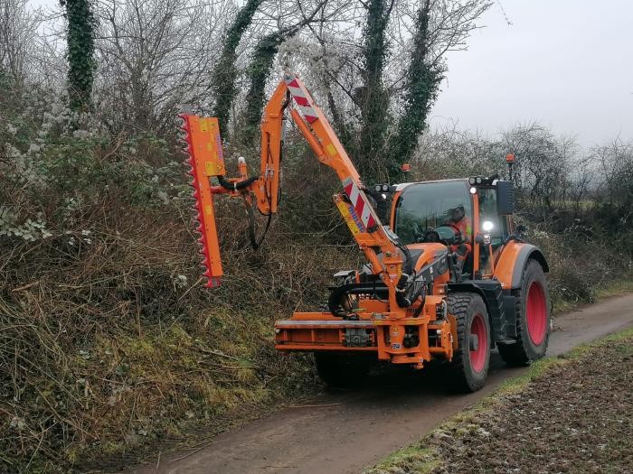 Aufnahme während der Hohlwegpflege Bauhofmitarbeiter beim auf den Stock setzen eines Heckenabschnitts am Stiftsberg