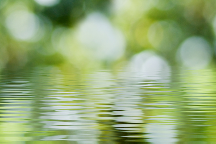 Wasseroberfläche vor einem natürlichen, unscharfen Hintergrund.